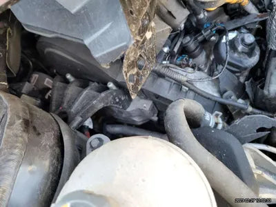 2021 Kia Sorento KNARH81BGMA000767 VIN:KNARH81BGMA000767