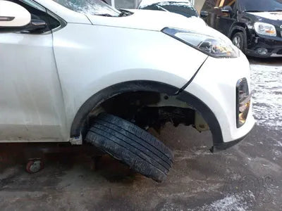 2019 Kia Sportage KNAPM813BKK709170 VIN:KNAPM813BKK709170