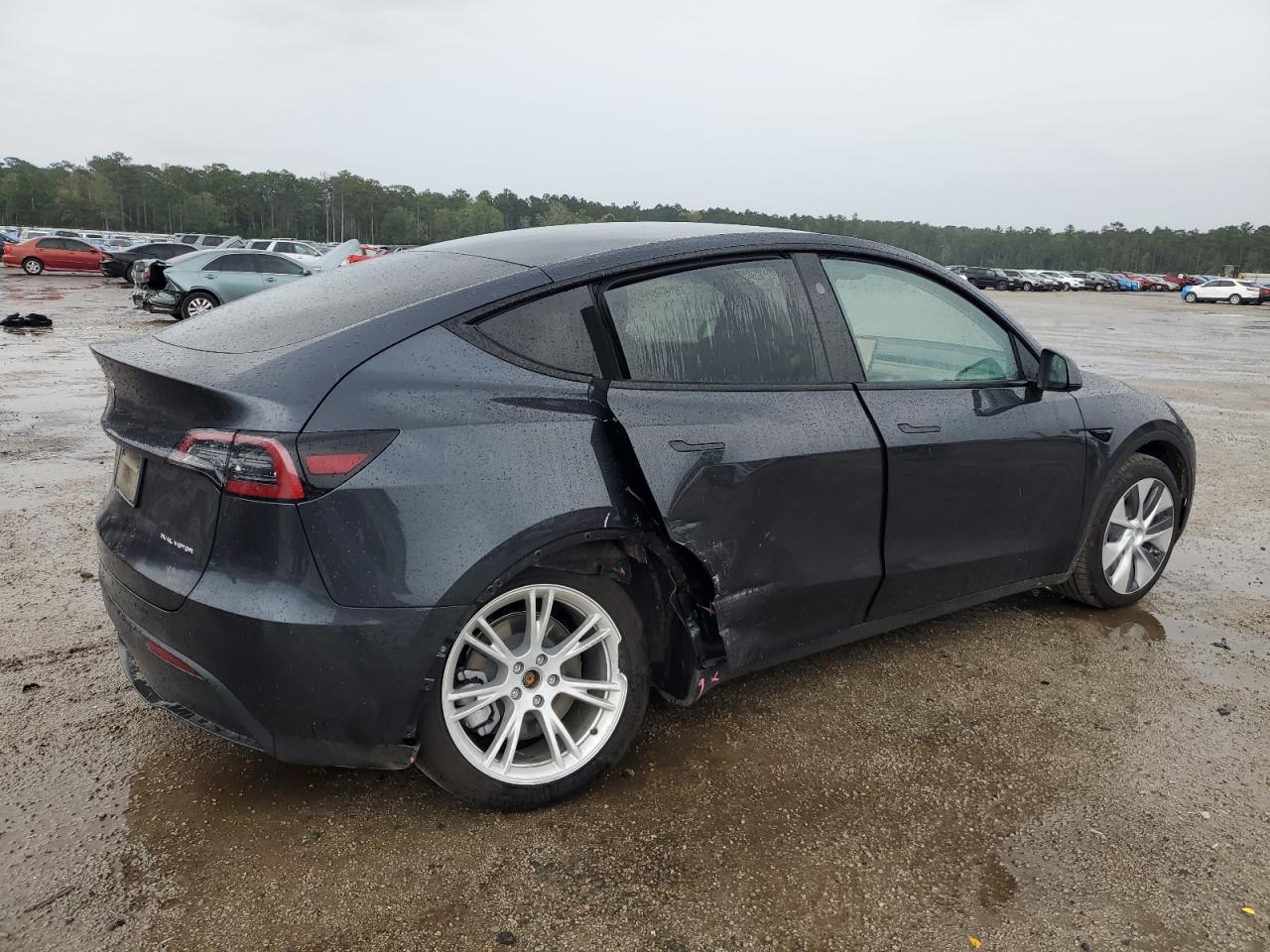 2024 TESLA MODEL Y  VIN:7SAYGDEE6RF984461