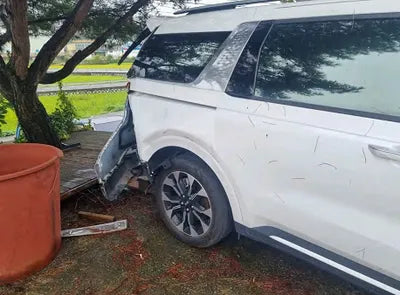 2021 Kia Carnival KNANE81BBMS073819 VIN:KNANE81BBMS073819