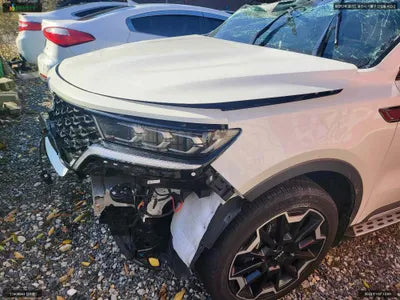 2023 Kia Sorento KNARJ81FHPA210454 VIN:KNARJ81FHPA210454