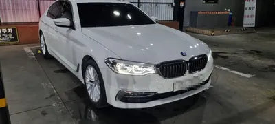 2019 BMW 520 WBAJF5107KWW51458 VIN:WBAJF5107KWW51458
