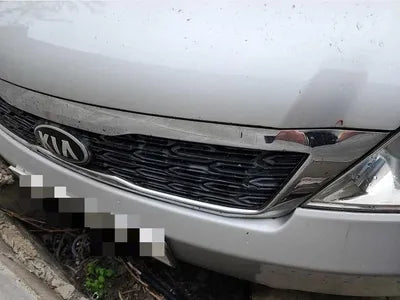 2014 Kia Carnival VIN: