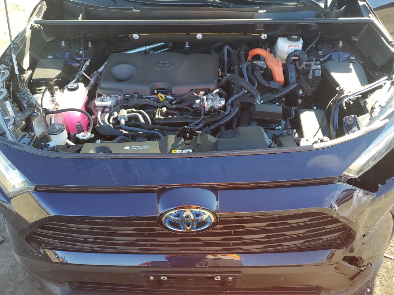 2023 TOYOTA RAV4 XLE VIN:JTMRWRFV1PD198233