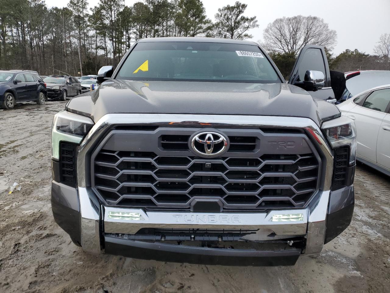 2023 TOYOTA TUNDRA CREWMAX PLATINUM VIN:5TFMA5EC6PX013383
