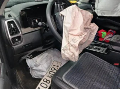 2021 Kia Sorento KNARF81BGMA104673 VIN:KNARF81BGMA104673