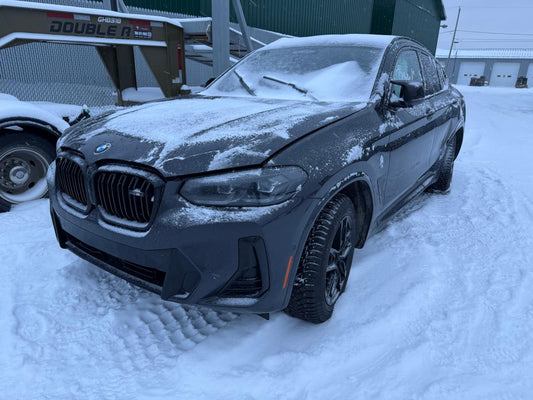 2023 BMW X4 M40I VIN:5UX43DT03P9S61199