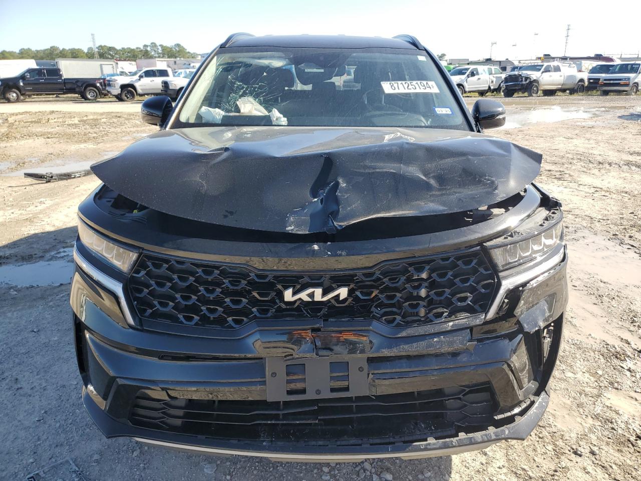 2022 KIA SORENTO S VIN:5XYRL4LC5NG109163