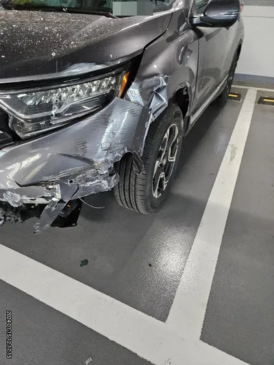 2019 Honda CR-V VIN: