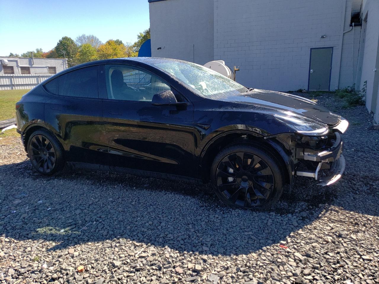 2023 TESLA MODEL Y  VIN:7SAYGDEEXPA024036