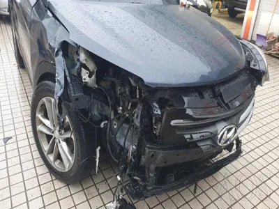 2017 Hyundai Santa FE KMHSW81UBHU732859 VIN:KMHSW81UBHU732859