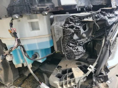 2019 Lexus ES 300 VIN: