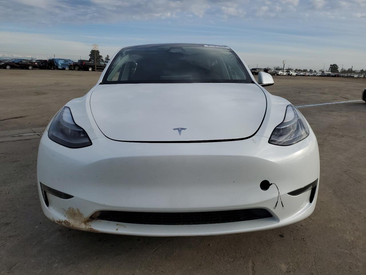 2024 TESLA MODEL Y  VIN:7SAYGDED7RF026100