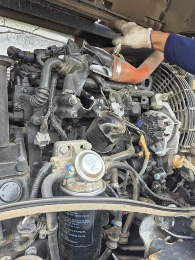 2022 BMW X5 DHKCEWAXKN6004990 VIN:DHKCEWAXKN6004990