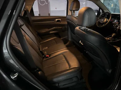 2021 Kia Sorento KNARF81BGMA014827 VIN:KNARF81BGMA014827