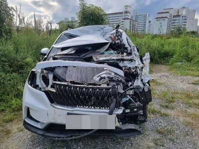 2021 Kia Carnival KNANB81BBMS069976 VIN:KNANB81BBMS069976