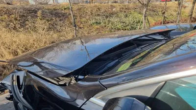 2017 Mercedes-Benz GLC 220 WDC0G0FB9HF200317 VIN:WDC0G0FB9HF200317