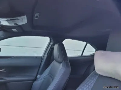 2019 Lexus UX 250 JTHY6JBH2K2001652 VIN:JTHY6JBH2K2001652