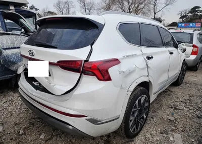 2021 Hyundai Santa FE KMHS581HGMU396744 VIN:KMHS581HGMU396744