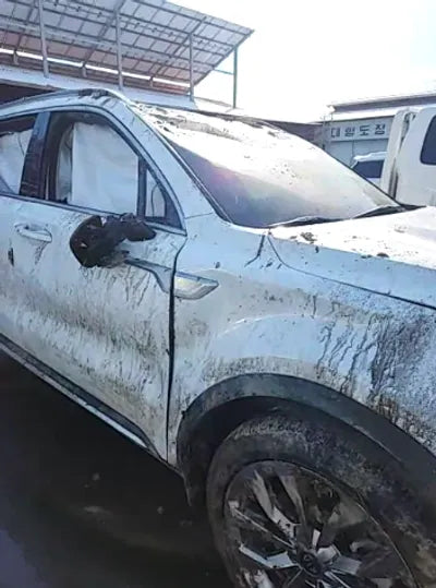 2021 Kia Sorento KNARF81BGMA104013 VIN:KNARF81BGMA104013