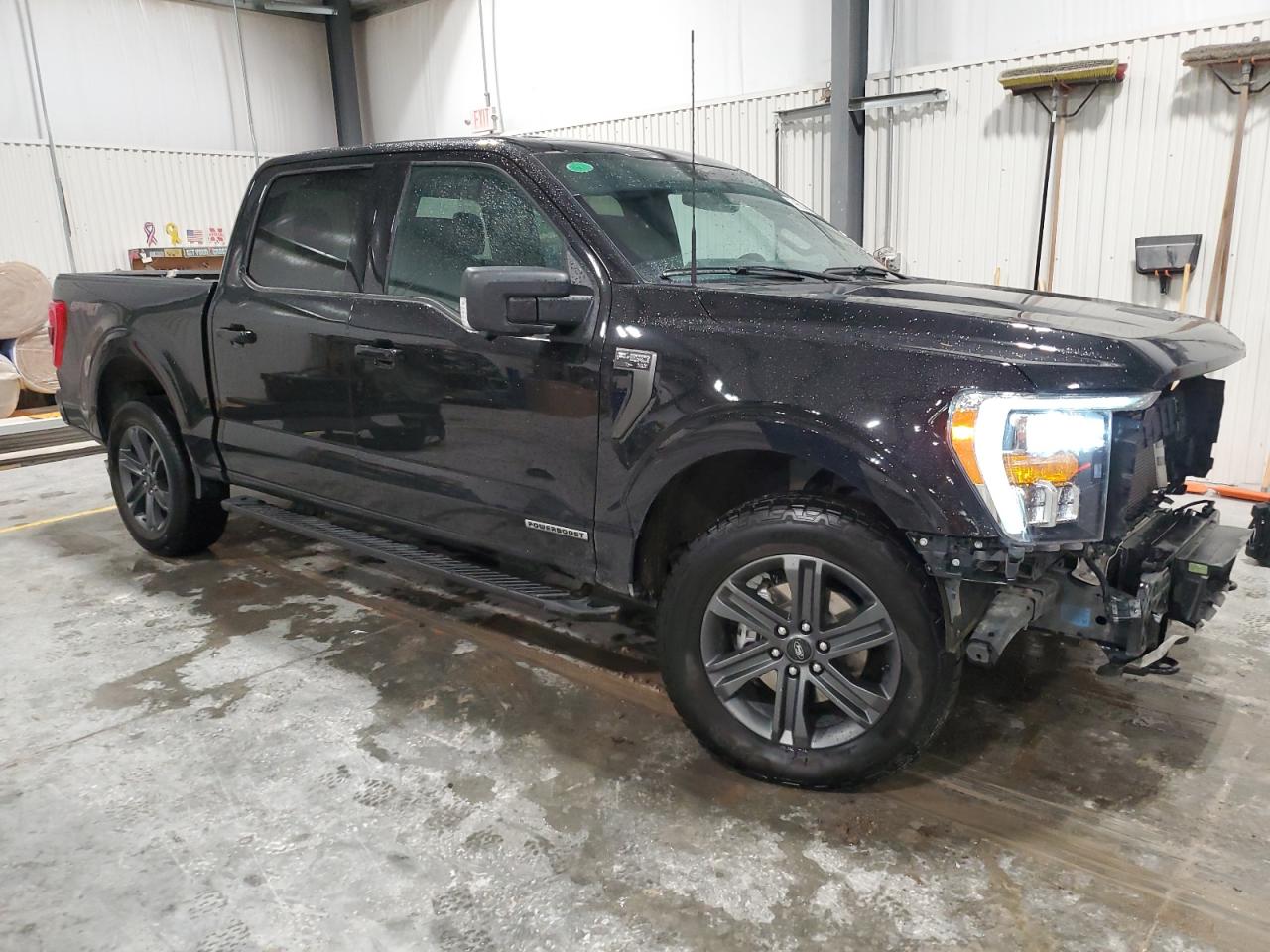 2023 FORD F150 SUPERCREW VIN:1FTFW1ED6PFD07917