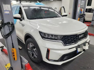 2021 Kia Sorento KNARH81BHMA048343 VIN:KNARH81BHMA048343
