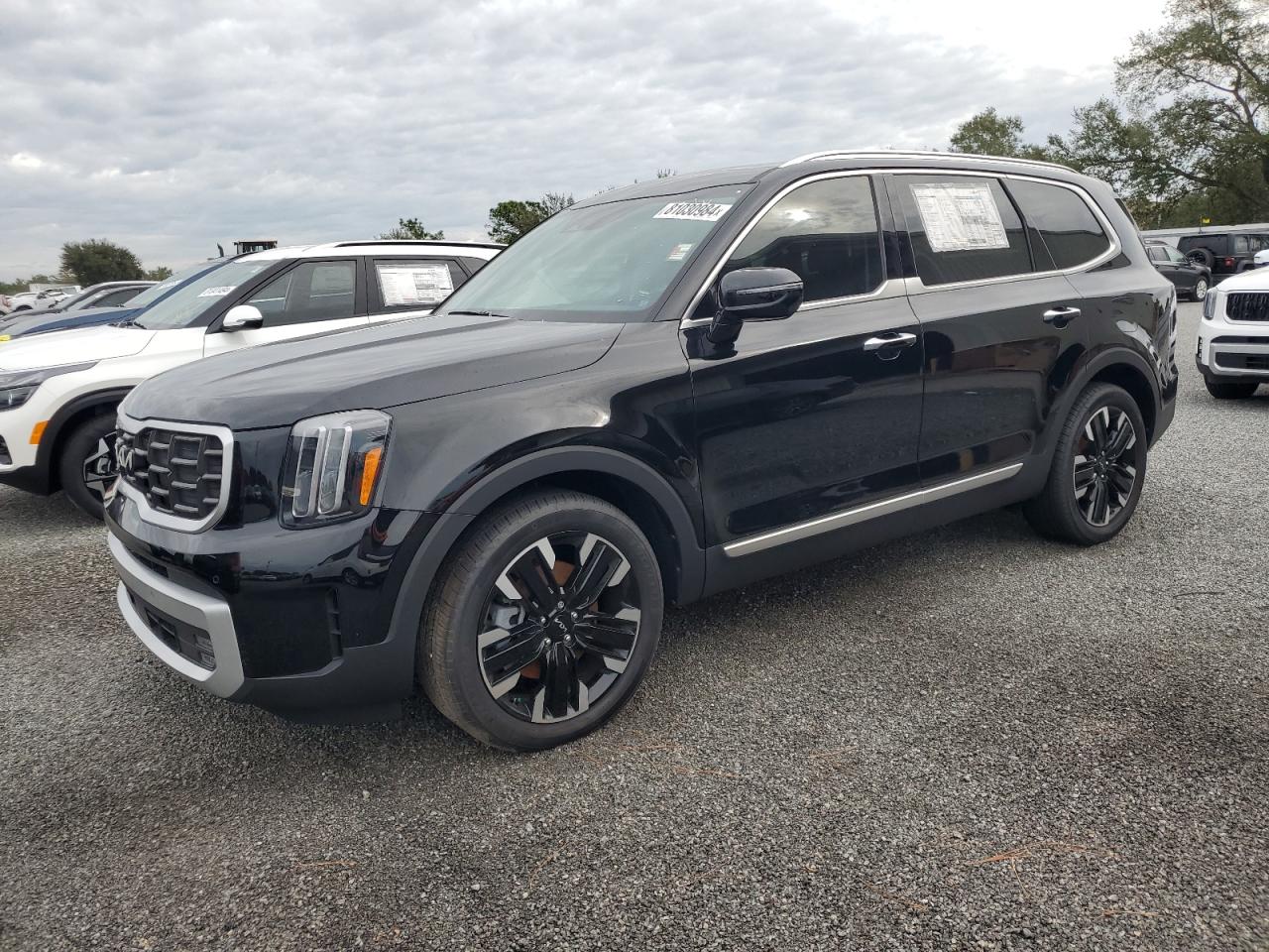 2024 KIA TELLURIDE SX VIN:5XYP5DGC6RG469978