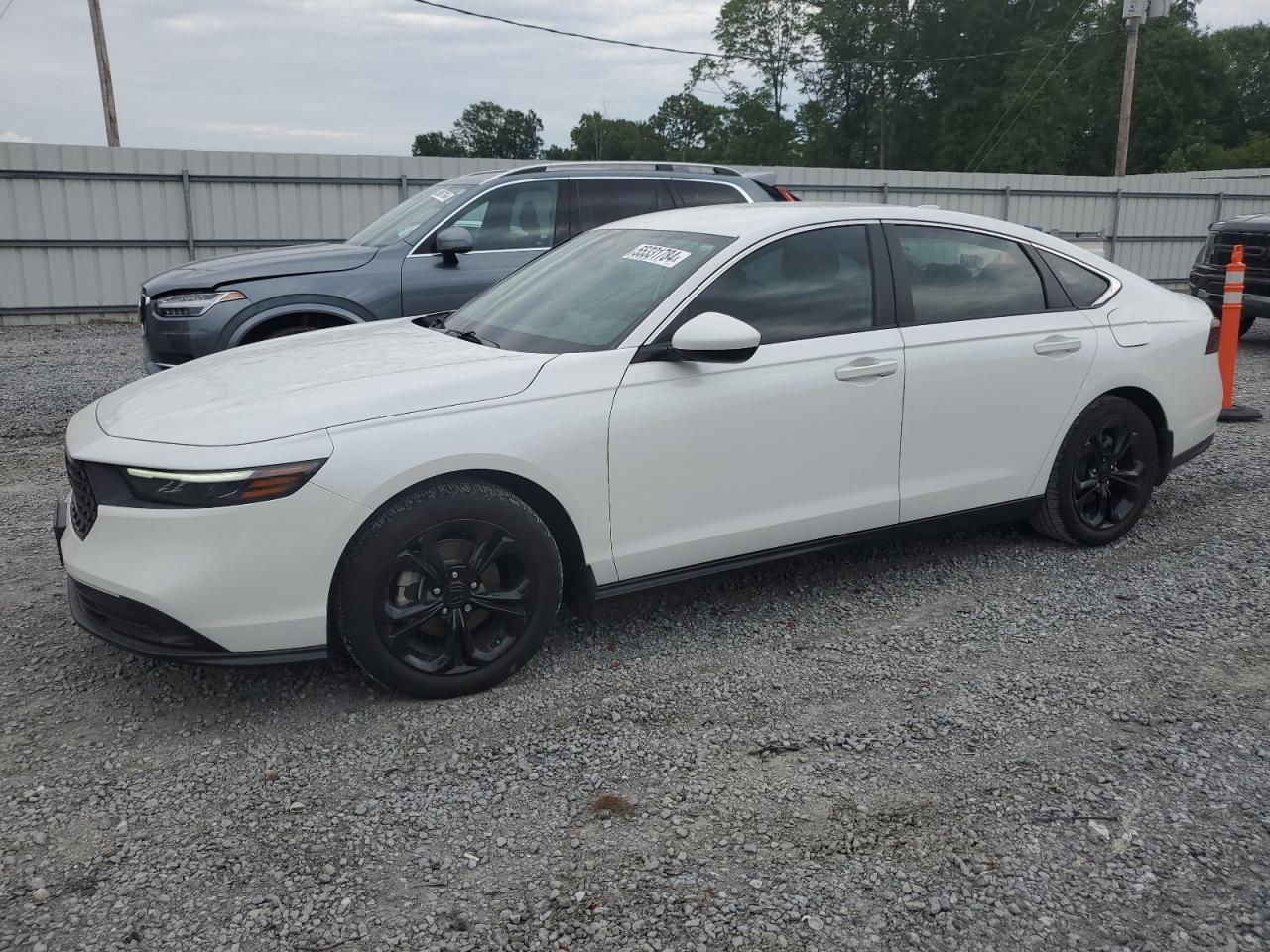 2023 HONDA ACCORD LX VIN:1HGCY1F28PA009202