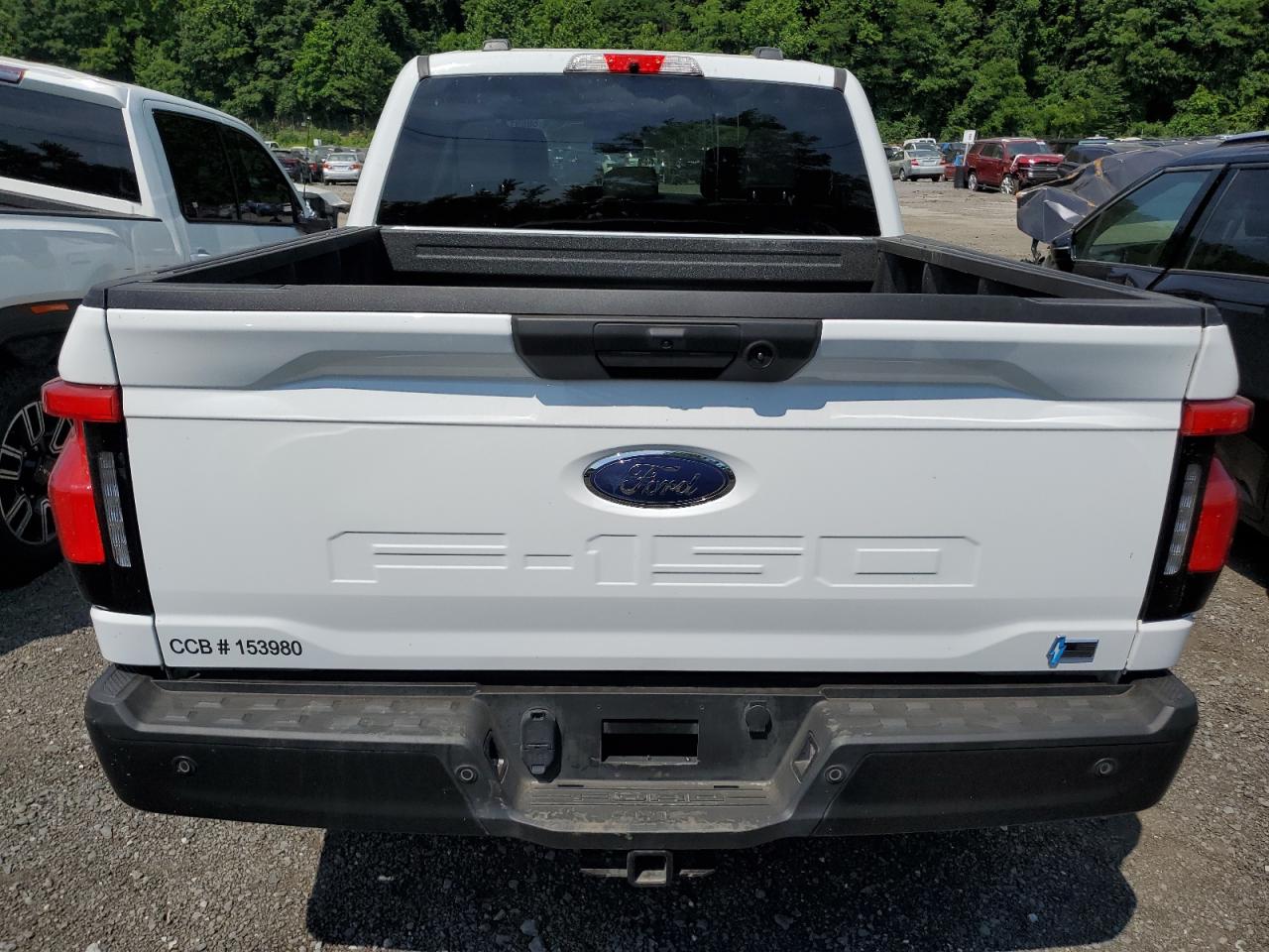 2023 FORD F150 LIGHTNING PRO VIN:1FT6W1EV5PWG32003