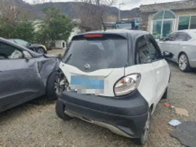 2021 Mercedes-Benz Smart KL90B2Z7EMZD6J977 VIN:KL90B2Z7EMZD6J977