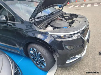 2021 Kia Carnival KNANE81BBMS015422 VIN:KNANE81BBMS015422