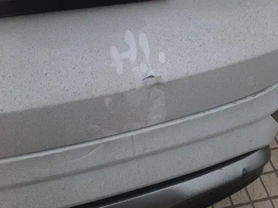 2019 Hyundai Santa FE KMHS581CBKU081567 VIN:KMHS581CBKU081567