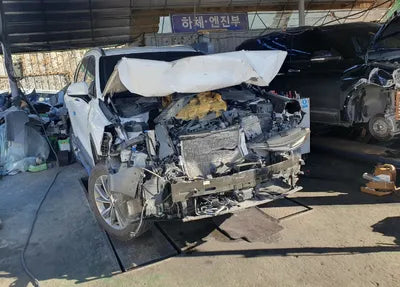 2019 Hyundai Santa FE KMHS281BBKU152315 VIN:KMHS281BBKU152315