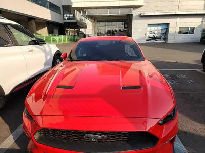 2019 Ford Mustang VIN: