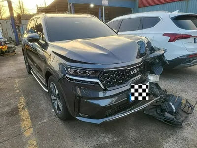 2022 Kia Sorento KNARF81GBNA119324 VIN:KNARF81GBNA119324