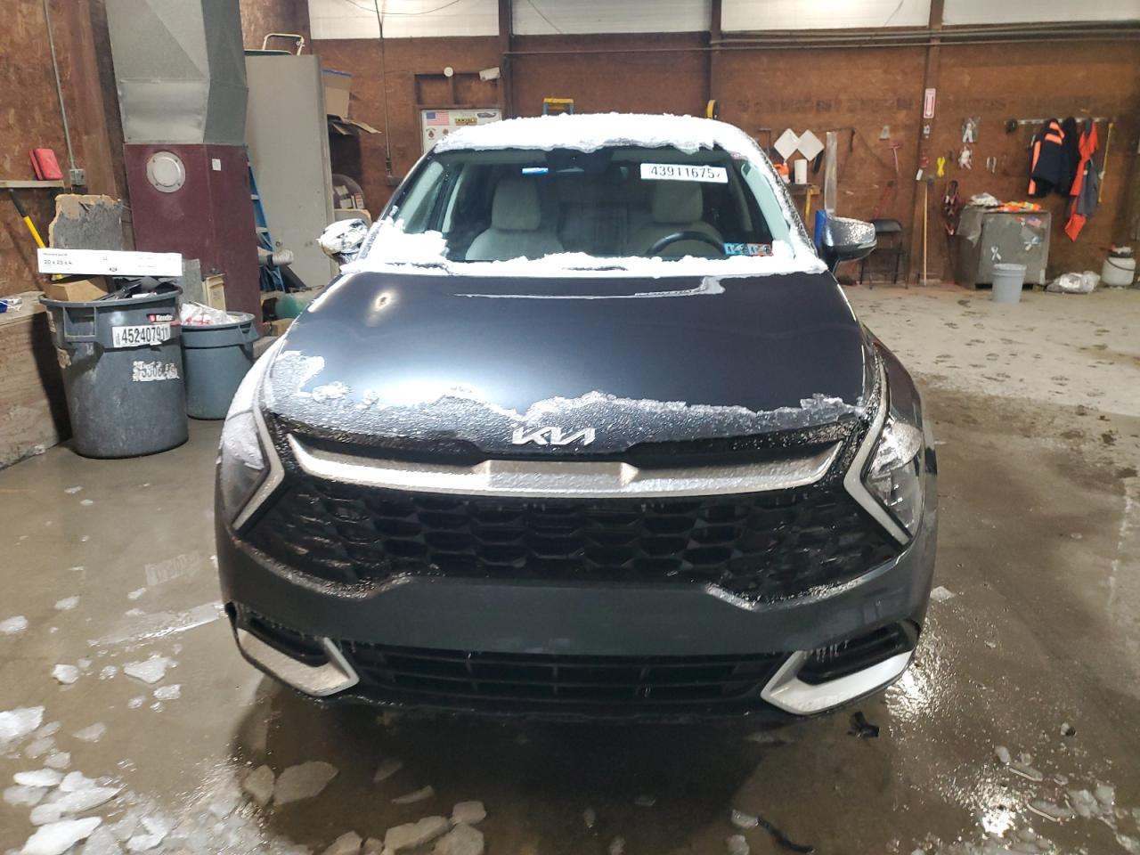2023 KIA SPORTAGE EX VIN:5XYK33AF6PG063239