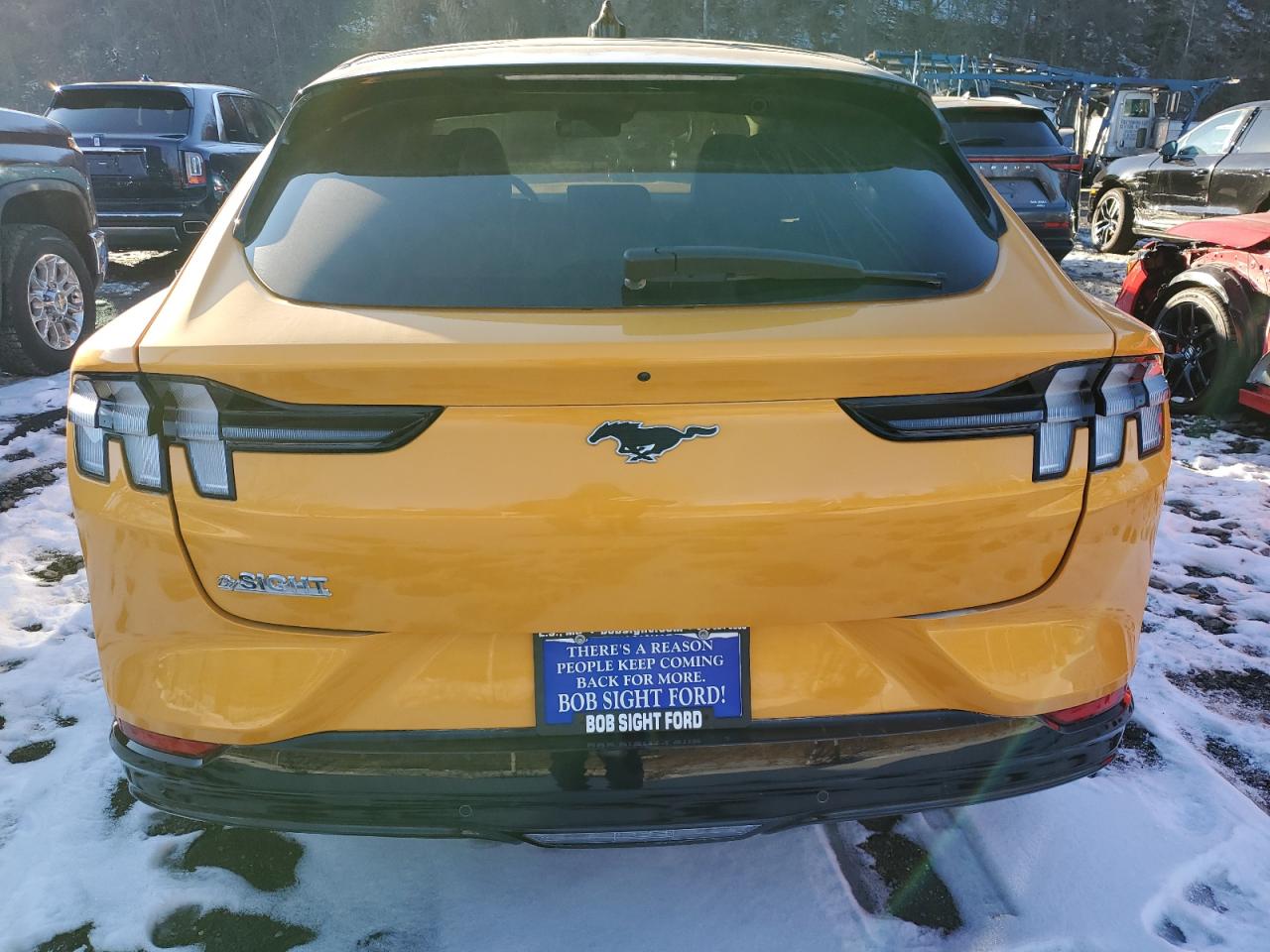 2023 FORD MUSTANG MACH-E PREMIUM VIN:3FMTK3SS3PMA32144