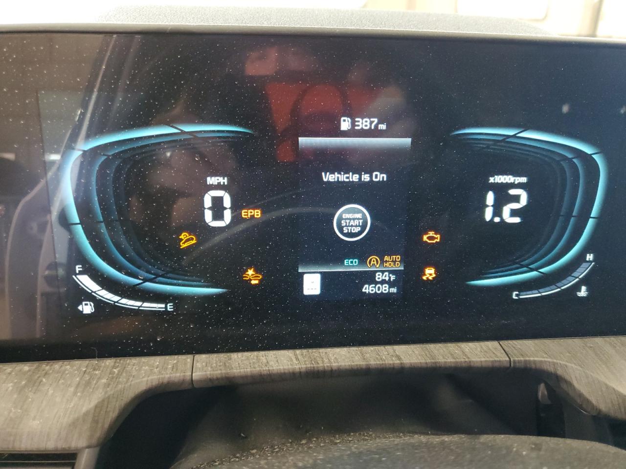 2024 KIA TELLURIDE EX VIN:5XYP3DGC8RG484830