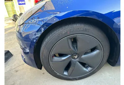 2020 Tesla Model 3 5YJ3E1EB7LF808981 VIN:5YJ3E1EB7LF808981