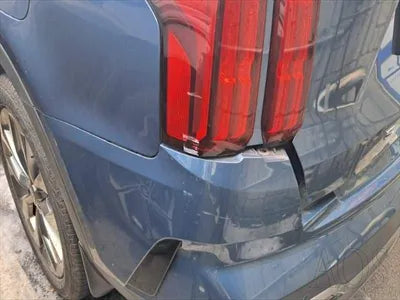 2021 Kia Sorento KNARH81BGMA062553 VIN:KNARH81BGMA062553