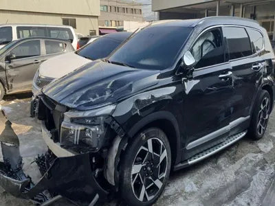 2021 Hyundai Santa FE KMHS381HHMU319369 VIN:KMHS381HHMU319369