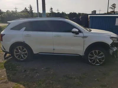 2021 Kia Sorento KNARK81BHNA133310 VIN:KNARK81BHNA133310