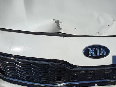 2018 Kia Sportage KNAPM813BJK496205 VIN:KNAPM813BJK496205
