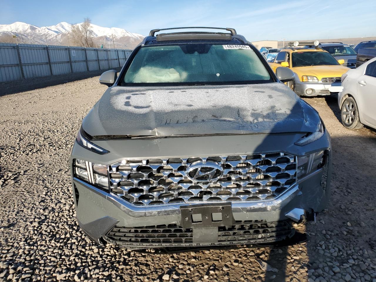 2023 HYUNDAI SANTA FE SEL PREMIUM VIN:5NMS3DA11PH005569