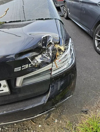 2020 BMW 530 WBAJS9103LCE28696 VIN:WBAJS9103LCE28696