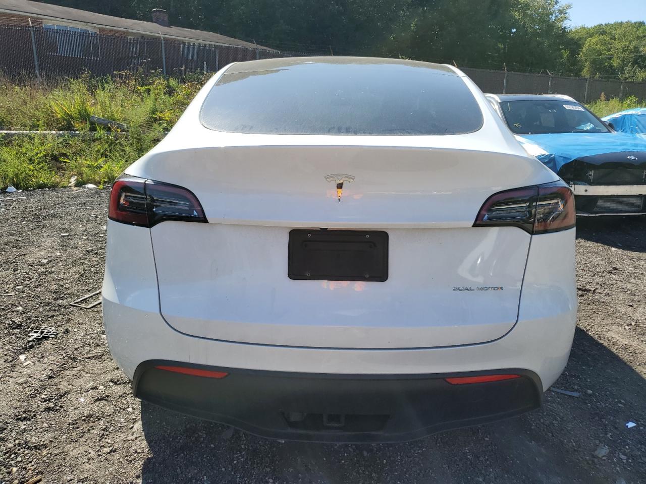 2023 TESLA MODEL Y  VIN:7SAYGDEE0PF695668