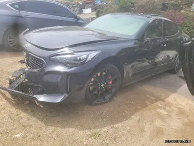 2021 Kia Stinger KNAE551CDMS090425 VIN:KNAE551CDMS090425