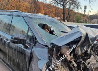 2021 Kia Carnival KNANC81BBMS018195 VIN:KNANC81BBMS018195