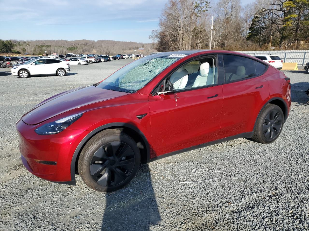 2024 TESLA MODEL Y  VIN:7SAYGDEE5RA311190