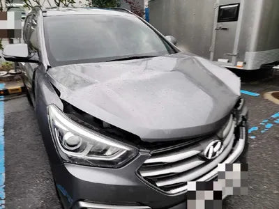 2016 Hyundai Santa FE KMHSW81UBGU620203 VIN:KMHSW81UBGU620203